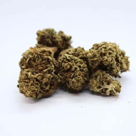 CBD-Blüte: Erdbeer-CBD – Gewächshaus – 4,3 % ABC du CBD