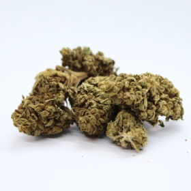 CBD-Blüte: Erdbeer-CBD – Gewächshaus – 4,3 % ABC du CBD