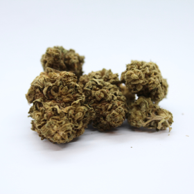 CBD-Blüte: Erdbeer-CBD – Gewächshaus – 4,3 % ABC du CBD