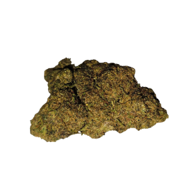 Gelato Plus HHC 30% - ABC du CBD