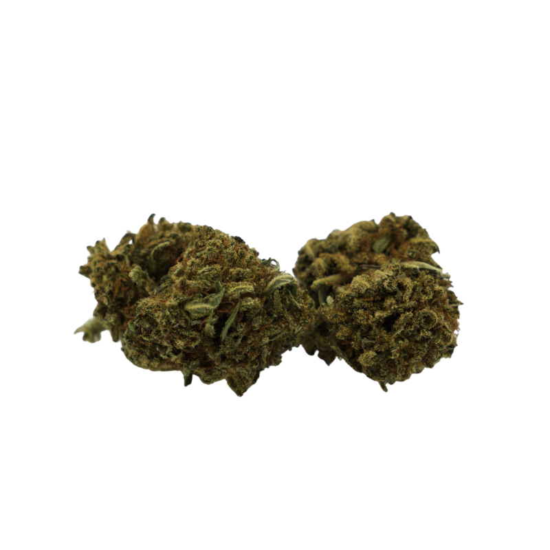 Fleur CBD : Bubble Gum CBD - Indoor - 8% ABC du CBD