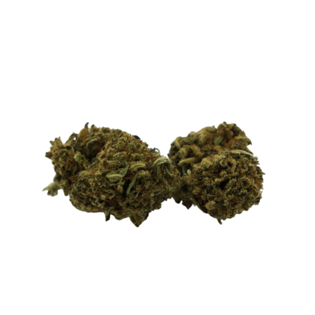 Fleur CBD : Bubble Gum CBD - Indoor - 8% ABC du CBD