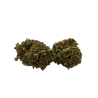 Fleur CBD : Bubble Gum CBD - Indoor - 8% ABC du CBD