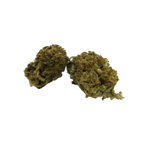 Fleur CBD : Bubble Gum CBD - Indoor - 8% ABC du CBD