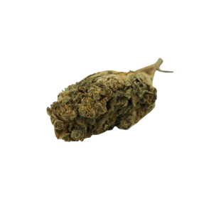 Flor de CBD: Amnesia CBD - Interior - 6% ABC du CBD