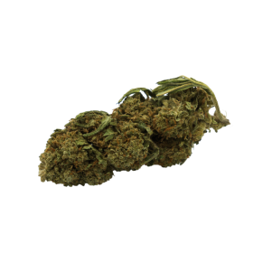 Flor de CBD: Obi-Wan CBD - Interior - 4,8% ABC du CBD