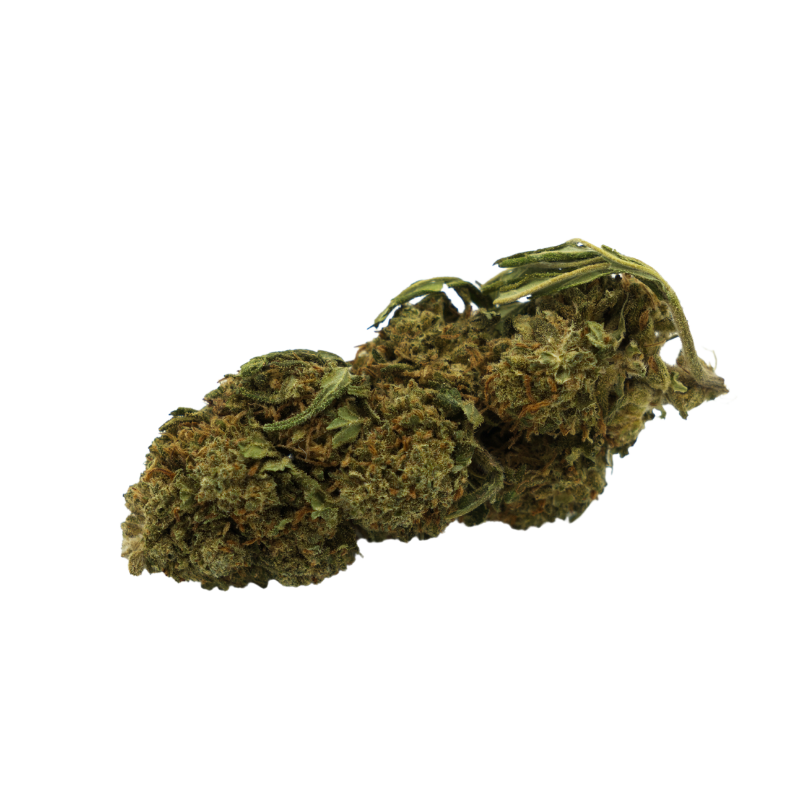 Flor de CBD: Obi-Wan CBD - Interior - 4,8% ABC du CBD