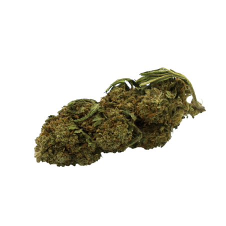 Flor de CBD: Obi-Wan CBD - Interior - 4,8% ABC du CBD