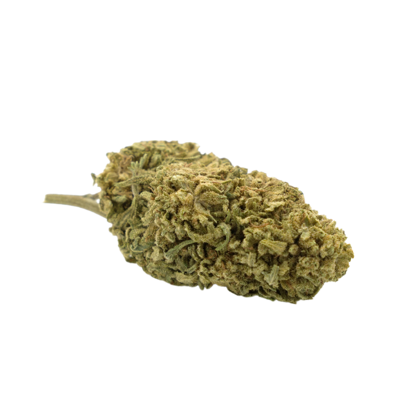 Fleur CBD: Pfirsich-CBD – Gewächshaus – 5,2 % ABC du CBD