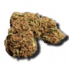 Fleur CBD : BZ-1 - greenhouse - 7,8 % de CBD