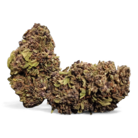 Fleur CBD : Purple OG - greenhouse - 5,6 % de CBD