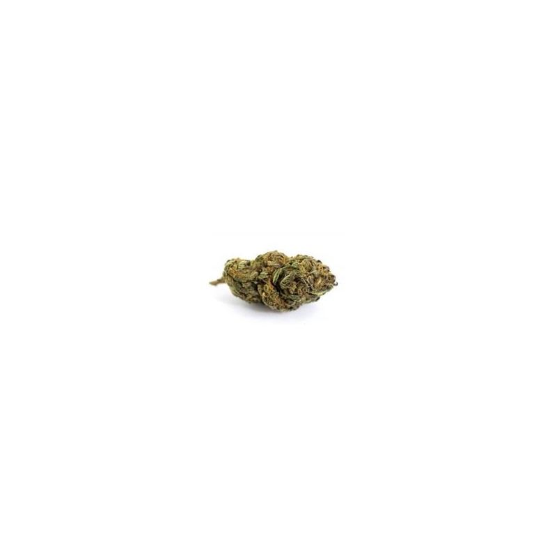 Watermelon - Greenhouse - 4,5% de CBD Watermelon - Greenhouse - 4,5% de CBD