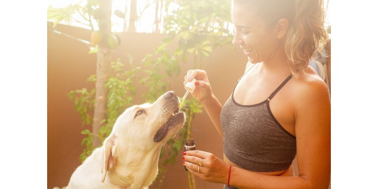 CBD e animali domestici